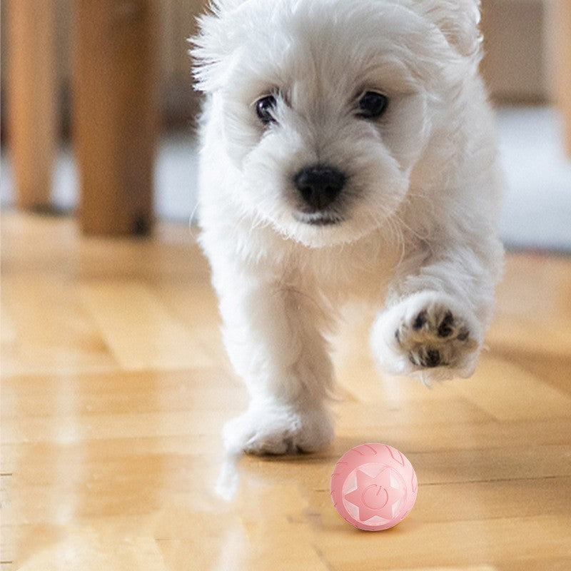 Rolling Ball Cat Toy Self-Hi Bite-resistant Toys