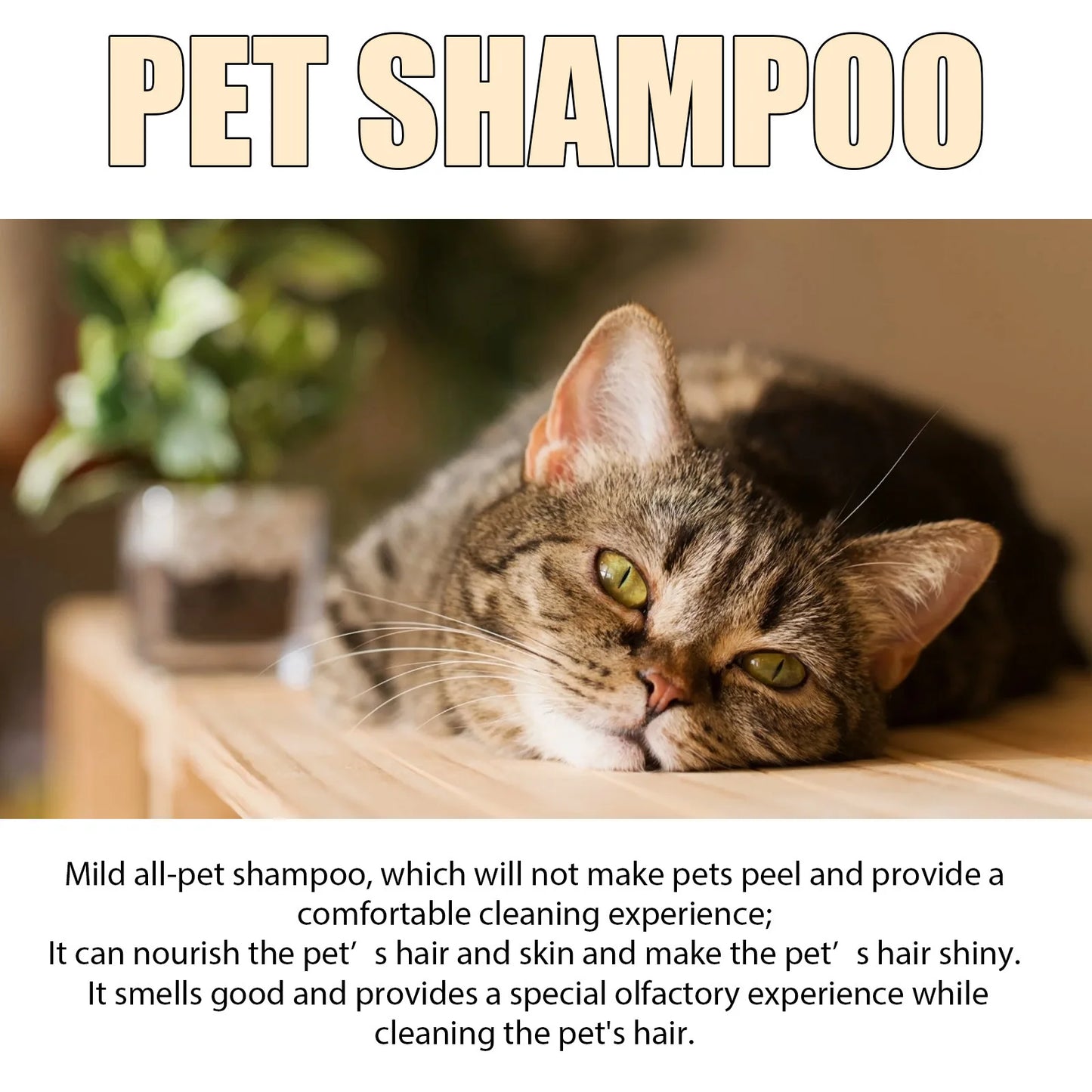 Anti-Flea Moisturizing Pet Shampoo for Softening Dirts Removing Mites Deodorizing and Reducing Itching