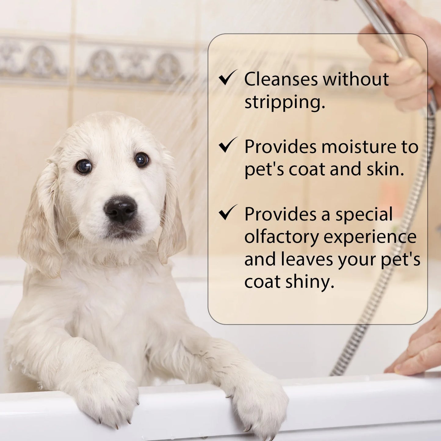 Anti-Flea Moisturizing Pet Shampoo for Softening Dirts Removing Mites Deodorizing and Reducing Itching