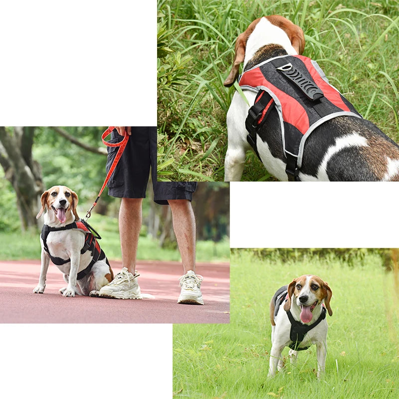 Advanced Dog Harness – Reflective and Durable