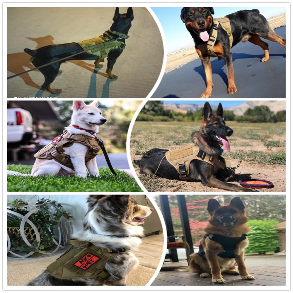 Tactical Dog Harness with MOLLE, Quick-Release, and Dual Leash Clips