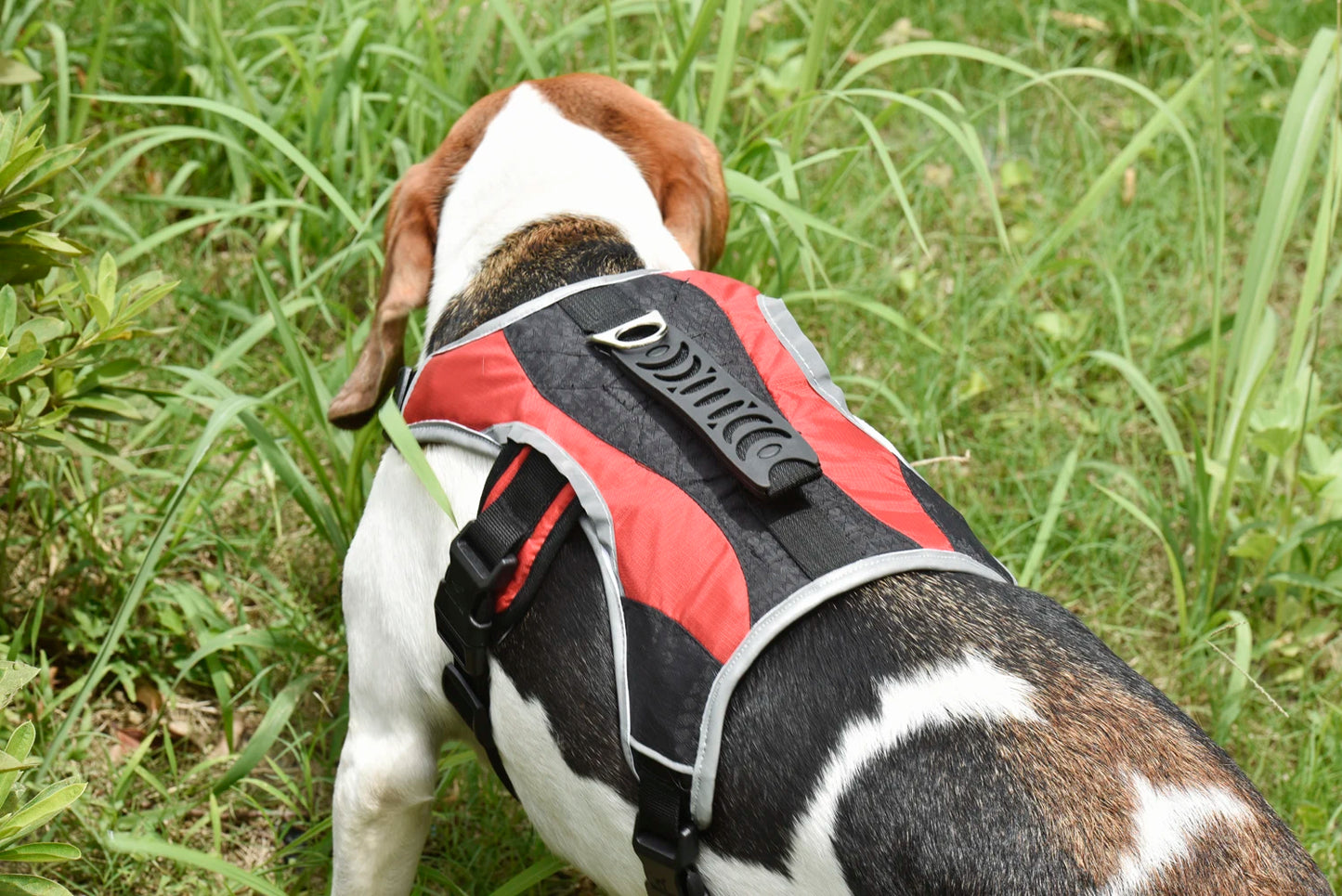 Advanced Dog Harness – Reflective and Durable