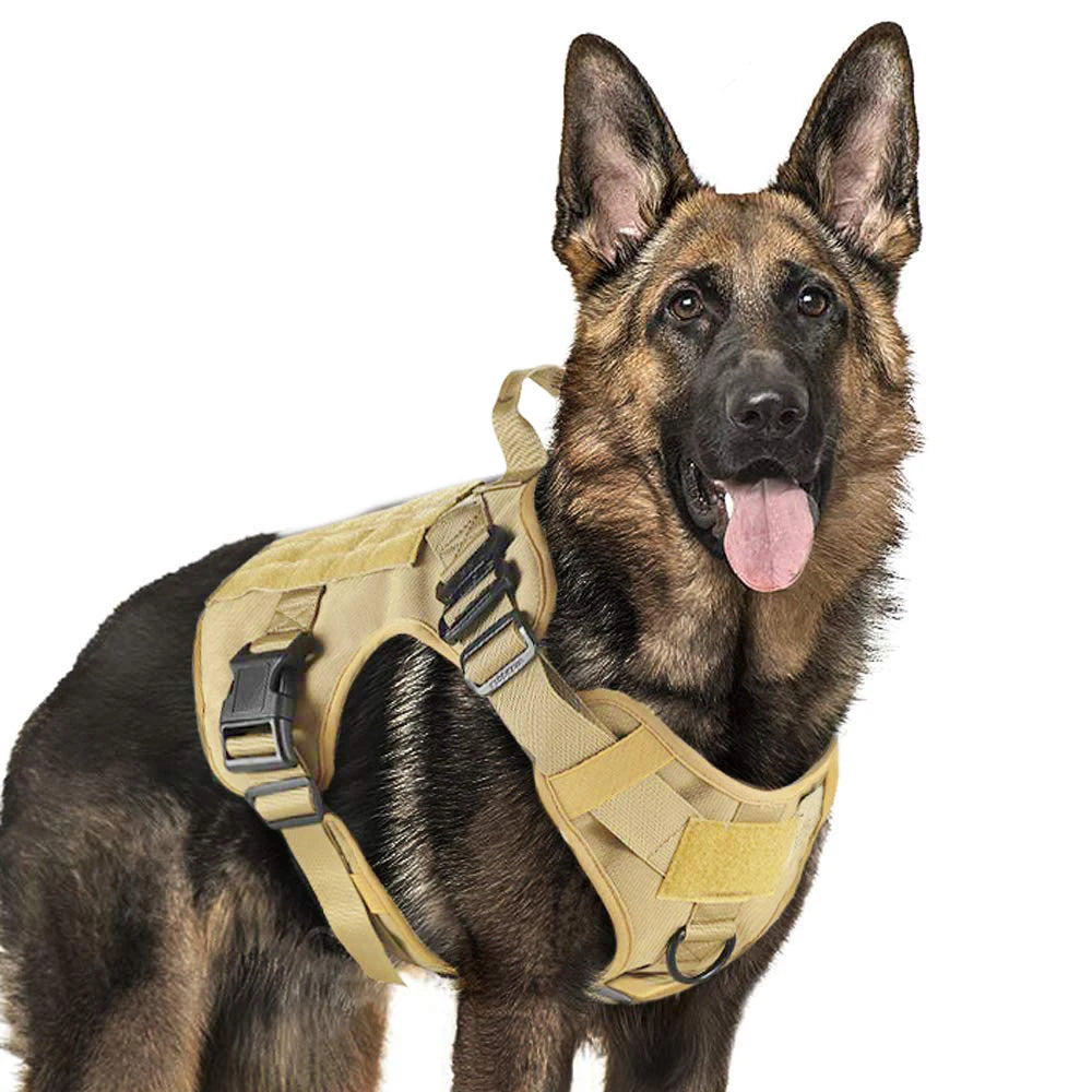 Tactical Dog Harness with MOLLE, Quick-Release, and Dual Leash Clips