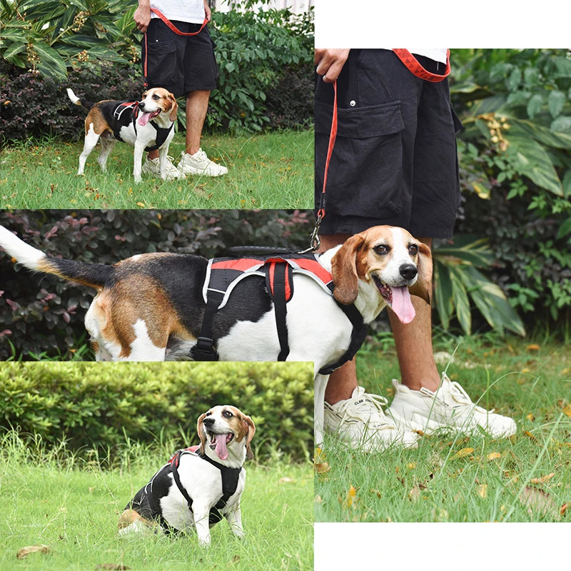 Advanced Dog Harness – Reflective and Durable