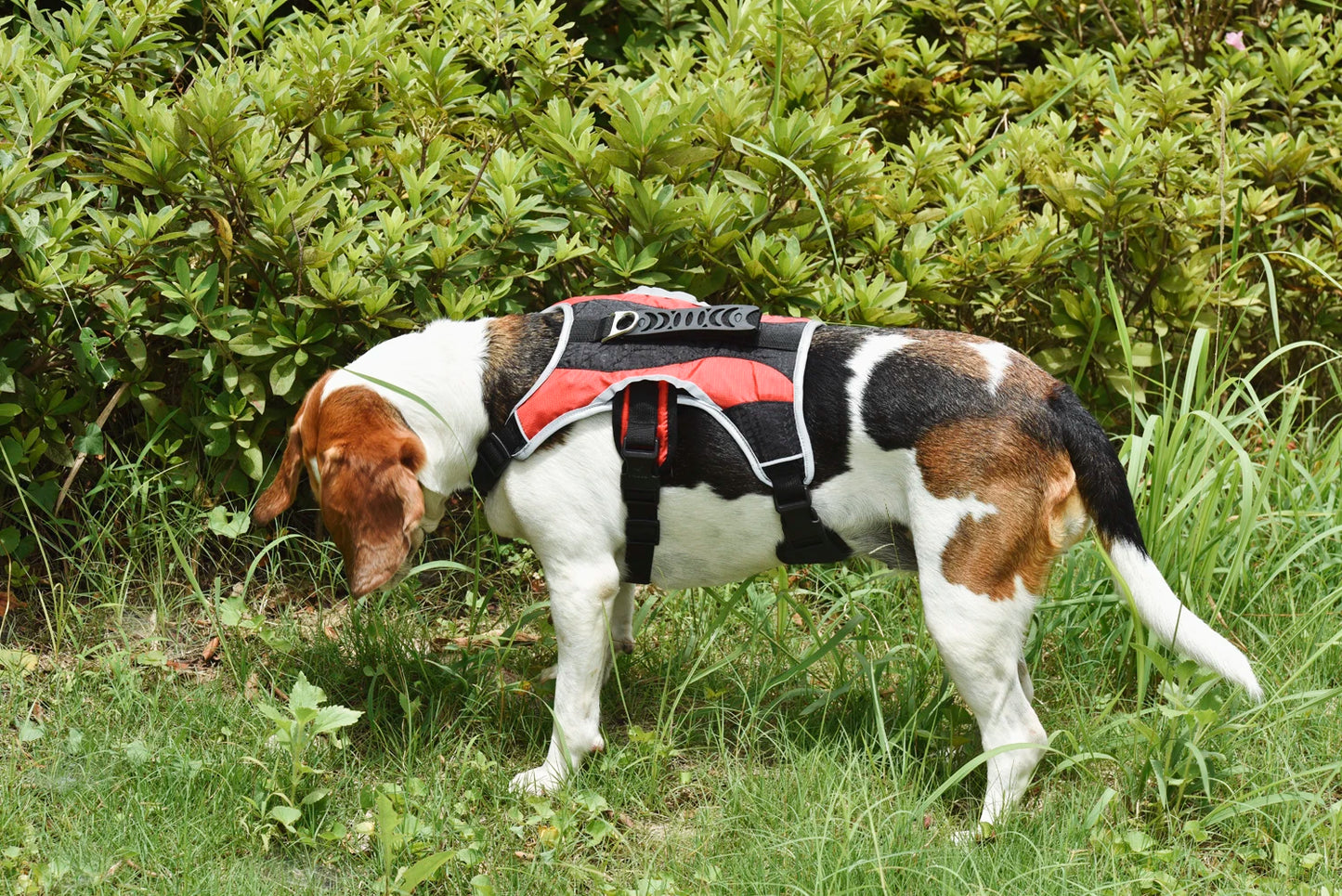 Advanced Dog Harness – Reflective and Durable