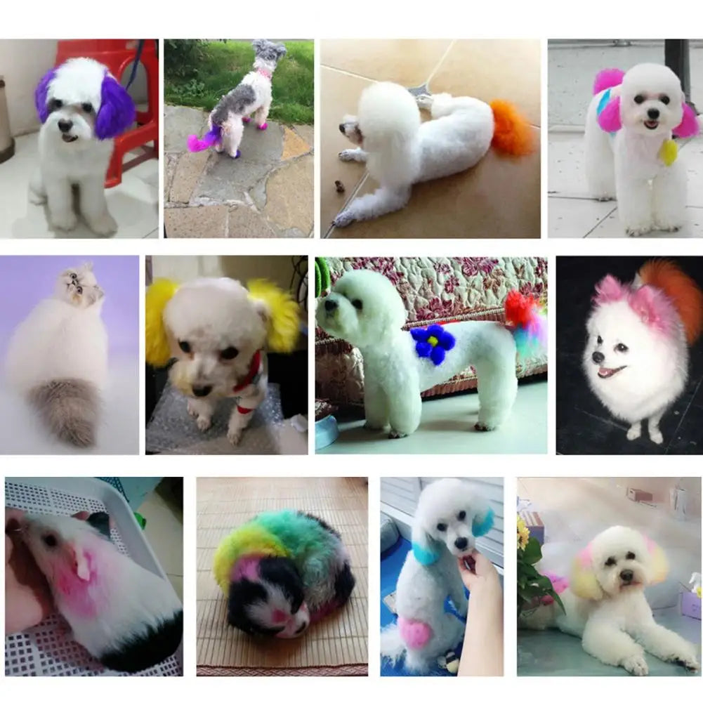 Pet Hair Color DIY Dye Agent Semi Permanent Non-Fading Bright Coloring Dyestuff Pigment for Dogs Cats Short Haired Eye Catching