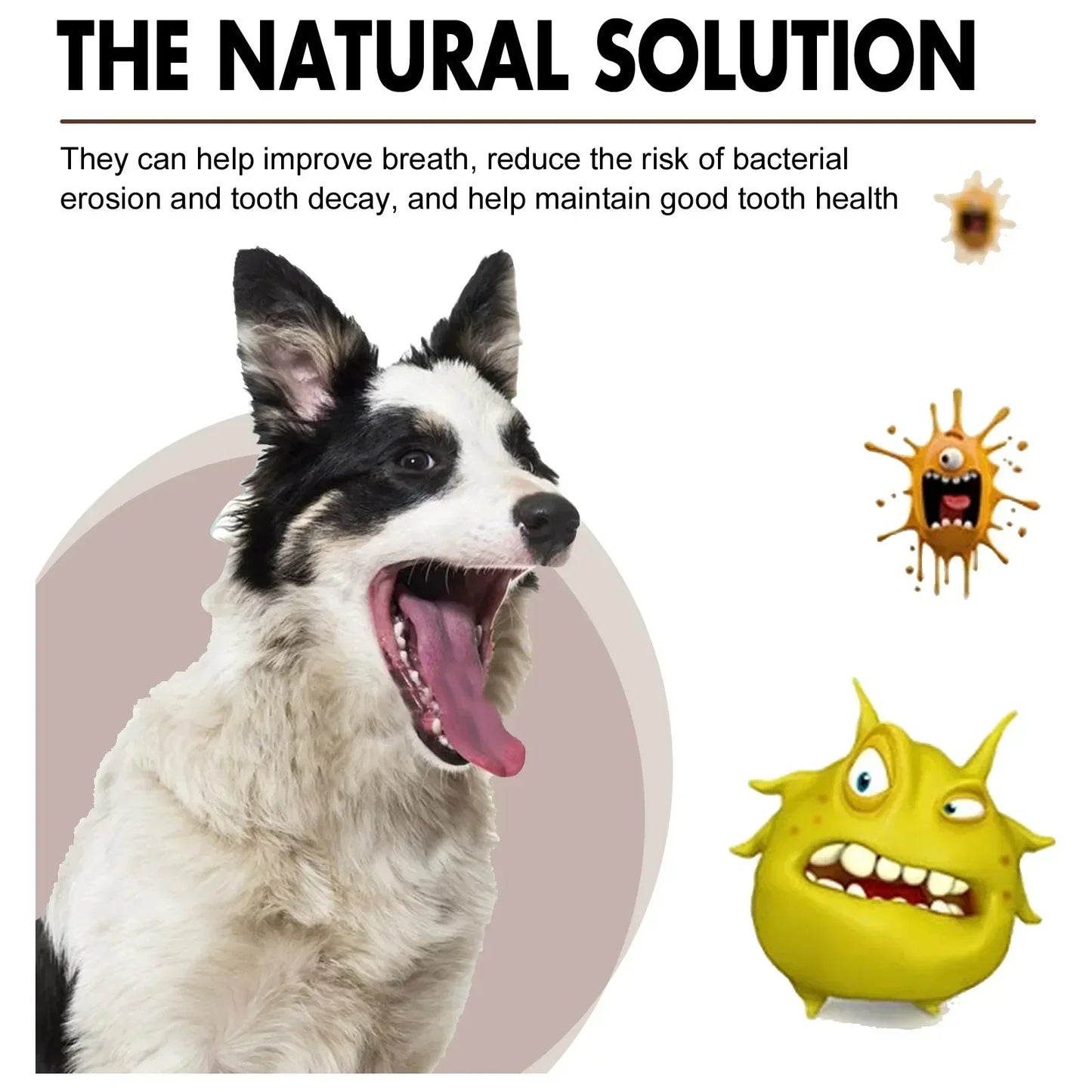 Pet Tooth Cleaning Spray 30ml Dogs Cats Oral Care Dental Deodorizer Refreshing Breath Freshener Pet Supplies