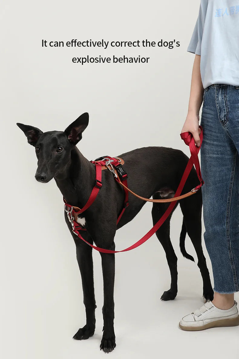 Dog Harness & Leash Set – Adjustable, Explosion-Proof