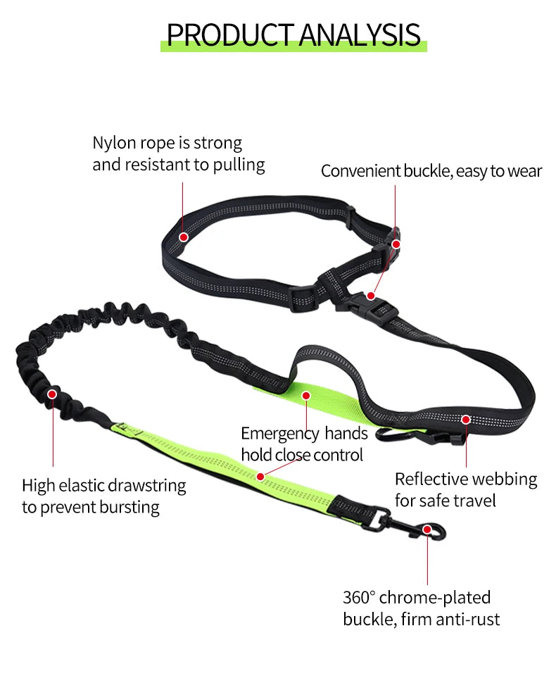 Adjustable Hands-Free Dog Leash with Waist Belt – Shock Absorbing & Reflective