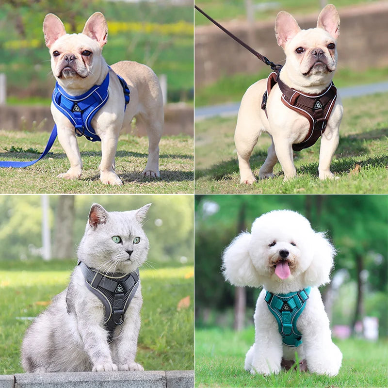 Harness Leash Set - Adjustable Reflective Vest for Small & Medium Dogs and Cats