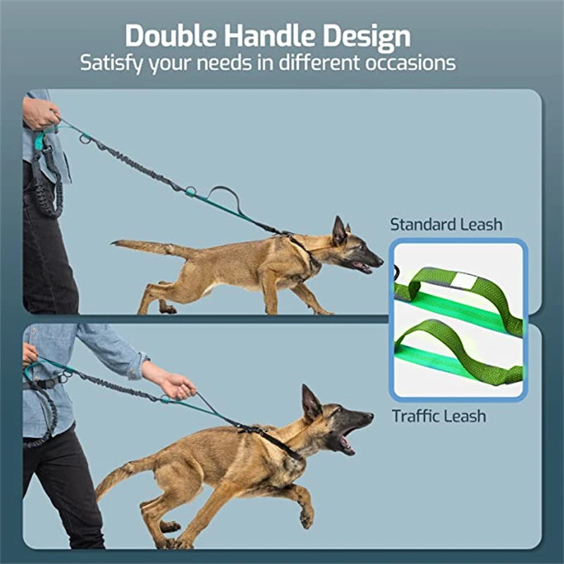 Adjustable Hands-Free Dog Leash with Waist Belt – Shock Absorbing & Reflective