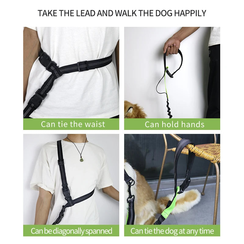 Adjustable Hands-Free Dog Leash with Waist Belt – Shock Absorbing & Reflective