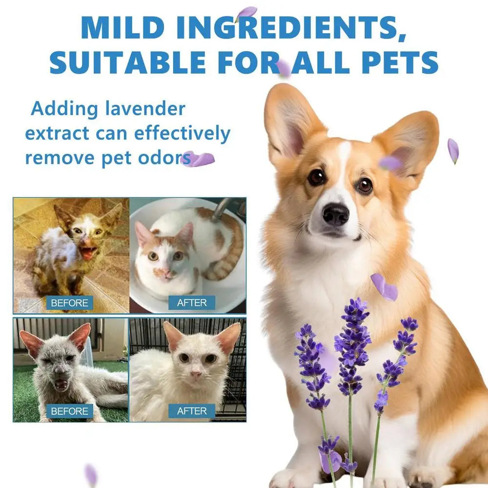 Pet Wash Free Essence Dog Cat Body Wash Hair Softening Removing Dirts Mites Deodorizing Reduce Itching Moisturizing