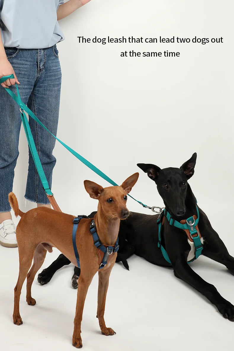 Dog Harness & Leash Set – Adjustable, Explosion-Proof