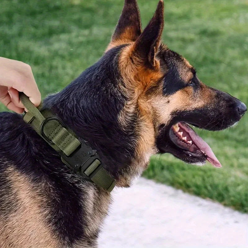 Heavy Duty Tactical Dog Collar with Handle - Military K9 Collar with Patch for Training & Outdoor Walking, Ideal for Medium & Large Dogs