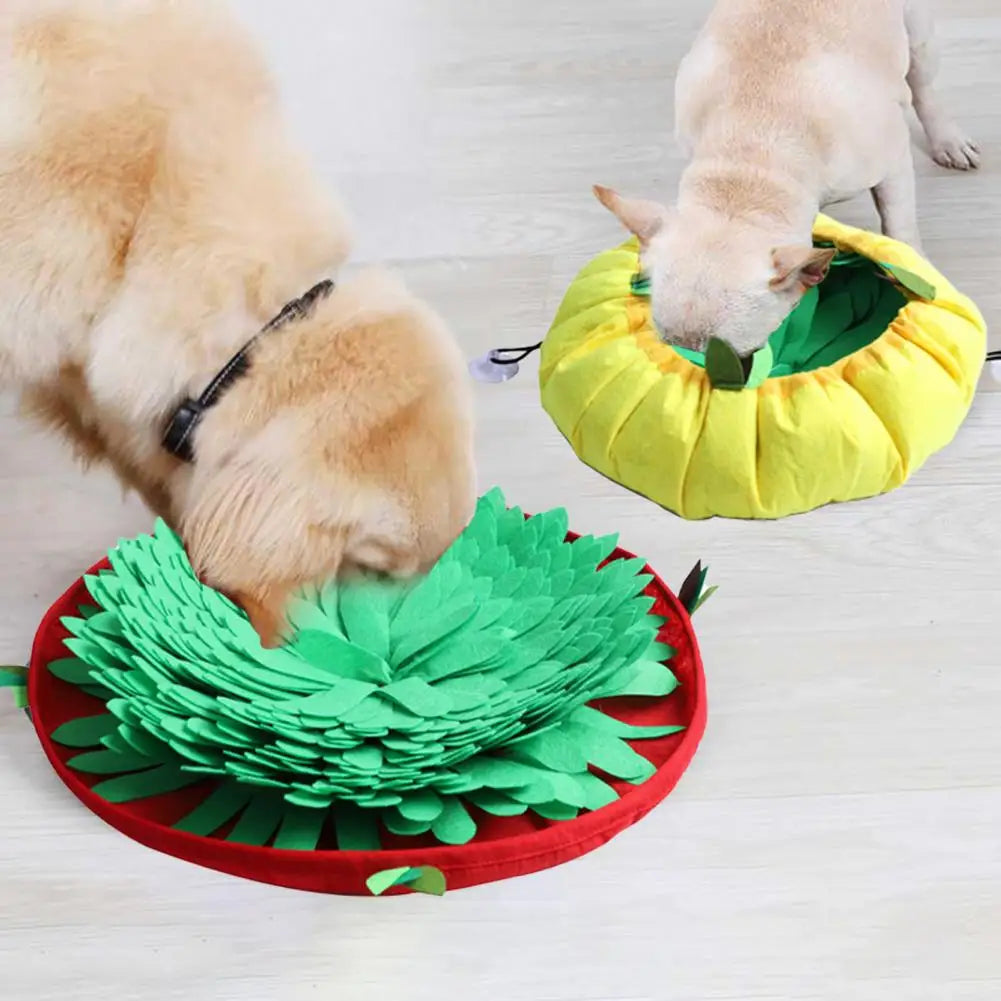 Pet Sniffing Mat – Washable & Interactive