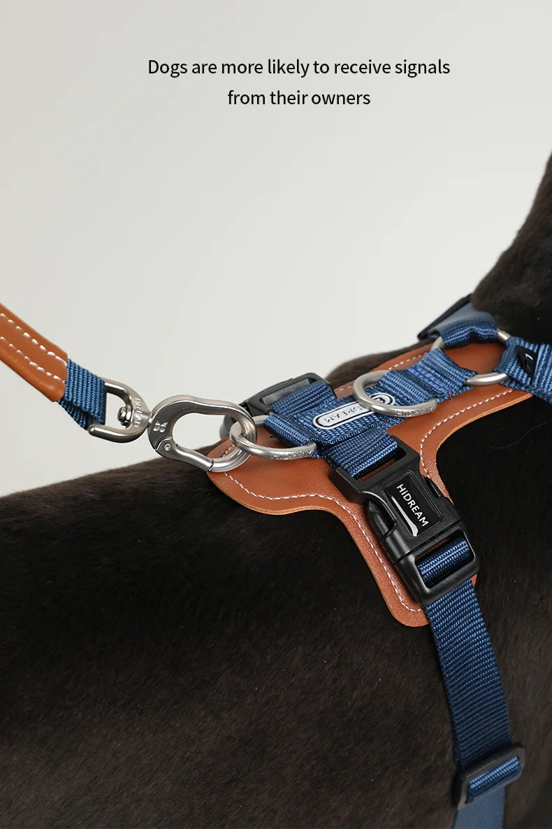 Dog Harness & Leash Set – Adjustable, Explosion-Proof