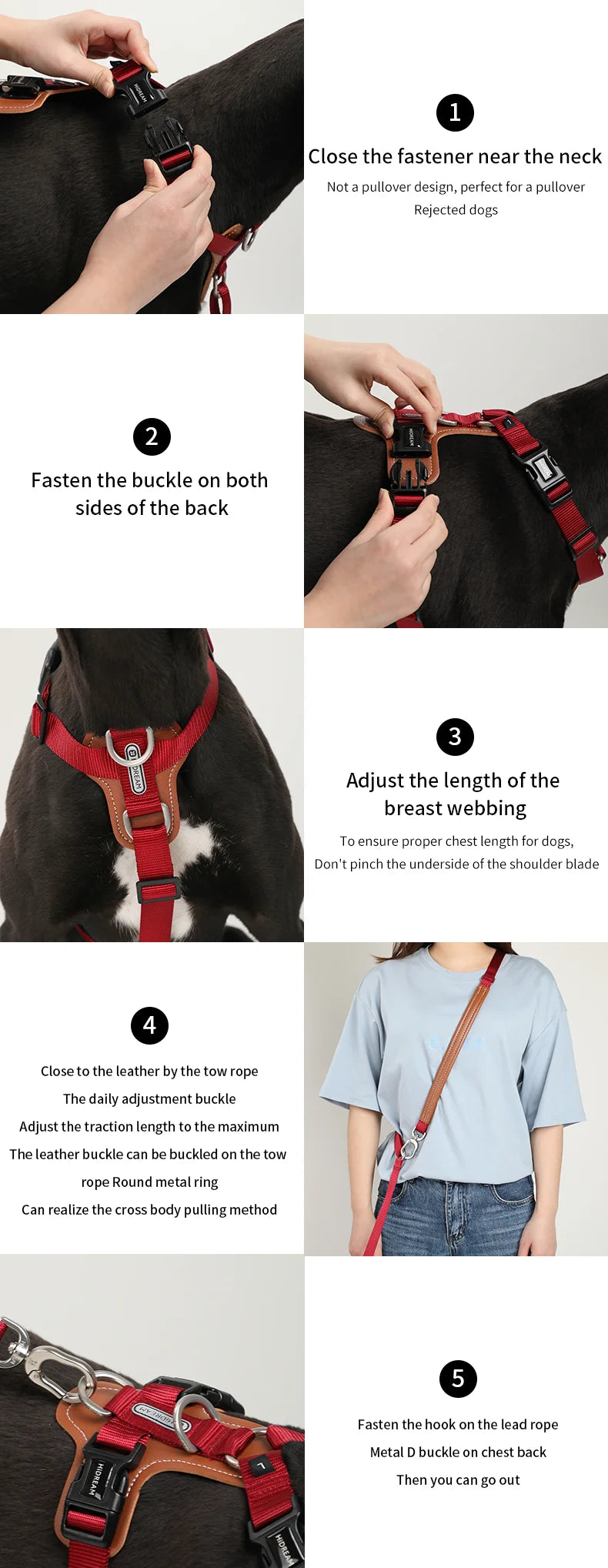 Dog Harness & Leash Set – Adjustable, Explosion-Proof