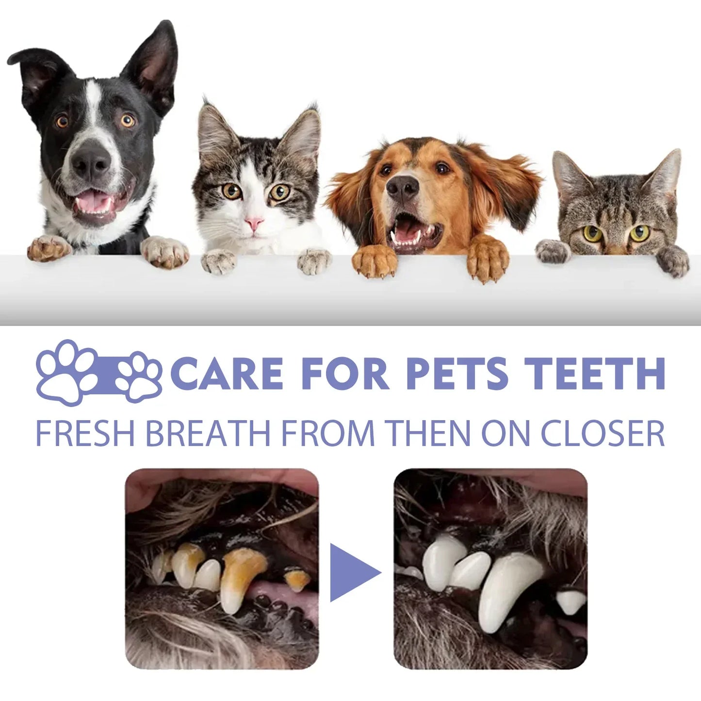 Pet Teeth Cleaning Spray Dog Cat Oral Care Tool Calculus Stain Remover Deodorant for Kitten Bad Breath Treatment