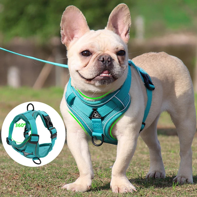 Harness Leash Set - Adjustable Reflective Vest for Small & Medium Dogs and Cats