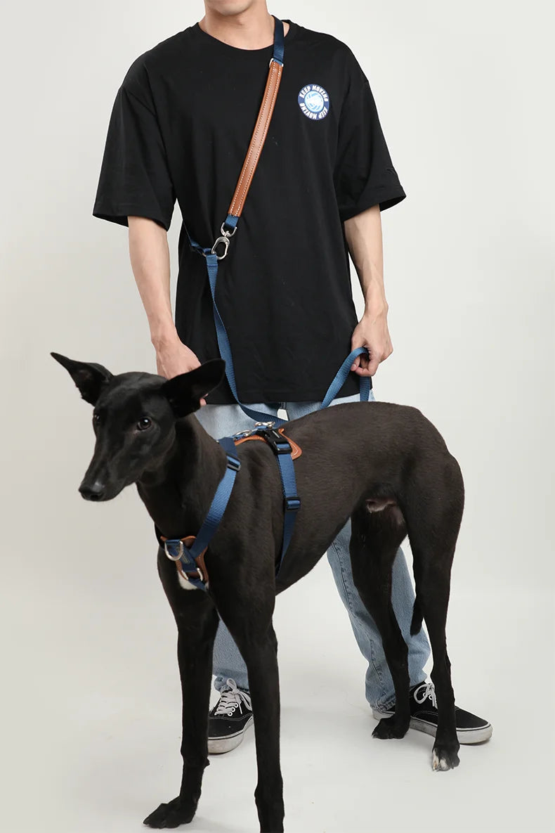 Dog Harness & Leash Set – Adjustable, Explosion-Proof